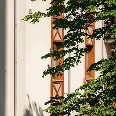 Sosnowe Tarasy Apartment Mielno  Exterior photo