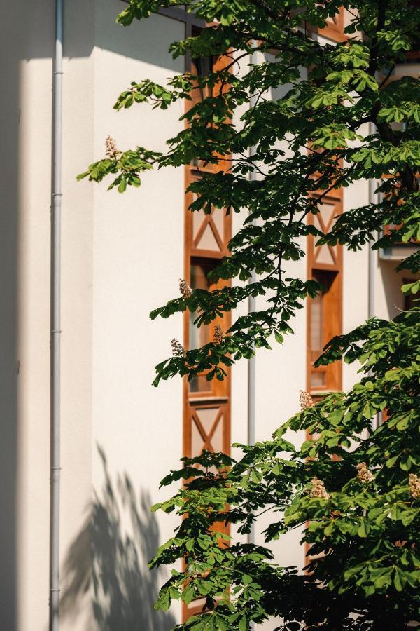 Sosnowe Tarasy Apartment Mielno (Koszalin)